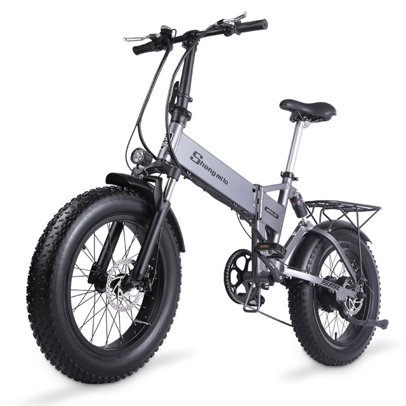 MX21 48V 800W 20