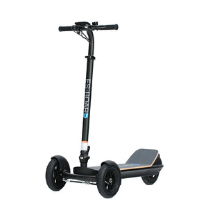 450W 48V 8.5" three wheel electric scooter 001
